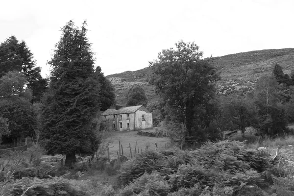 Rundown abandoned Kerry farmhouse — Stock Photo, Image