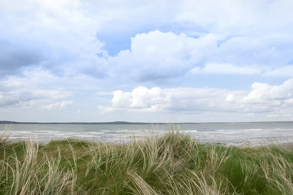 Duna de areia vista do rio shannon — Fotografia de Stock