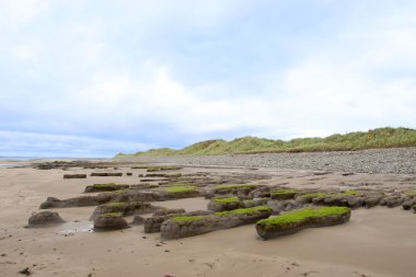 slimey çamur bankalar ve büyük dunes adlı Beal beach