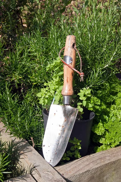 Stalen tuin troffel in kruidentuin — Stockfoto