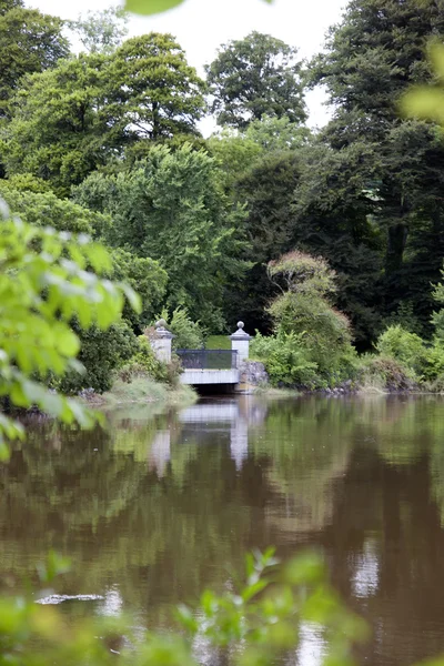 Pont en pierre dans le domaine Ballynatray — Photo