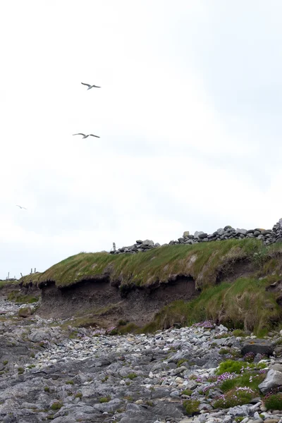 Skalnaté pobřeží wild atlantic Way — Stock fotografie