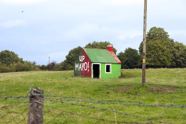 Mayo döken kadar — Stok fotoğraf