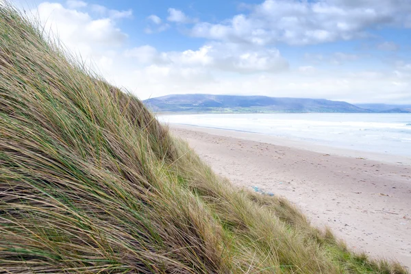 View from dunes at the maharees — Stock Photo, Image