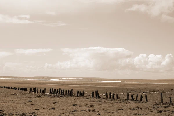 Sepia wave breakers — Stock Photo, Image