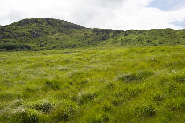 Gräsbevuxen bergsutsikt — Stockfoto