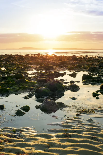 Riflessioni serene sulla spiaggia rocciosa — Foto Stock