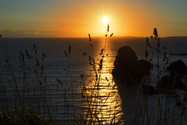 Schöner Sonnenuntergang über dem jungfräulichen Felsengras — Stockfoto