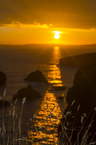 Beautiful sunset over the coastal rocks with wild highl grass — Stock Photo, Image