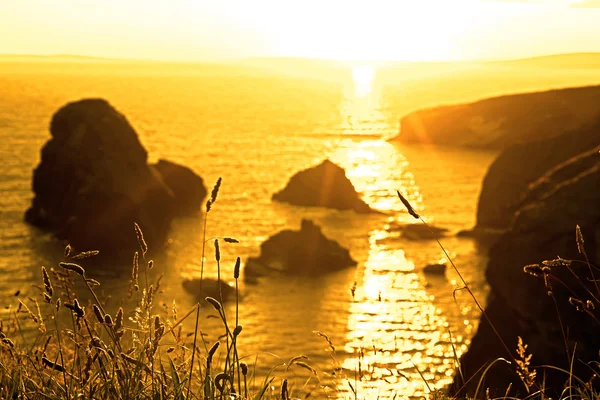 Schöner Sonnenuntergang über dem jungfräulichen Felsen mit wildem hohen Gras — Stockfoto