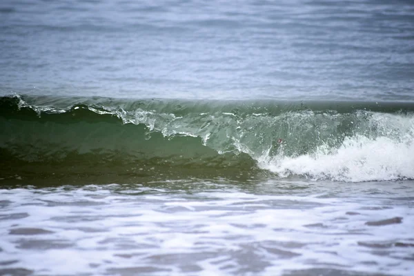 Crisp green waves splashing — Stock Photo, Image