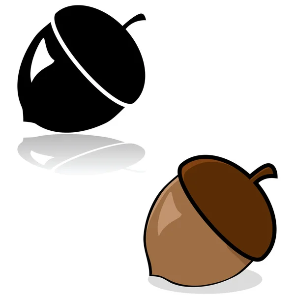 Acorn drawing — Stock Vector