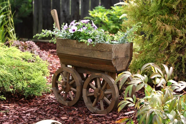 Jardin - Chariot de fleurs anciennes — Photo