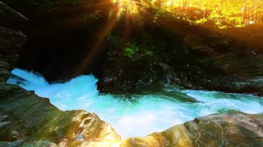 Ormandaki dağ deresi