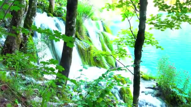 Водопад Лесу Национальный Парк Плитвицкие Озера Хорватия — стоковое видео