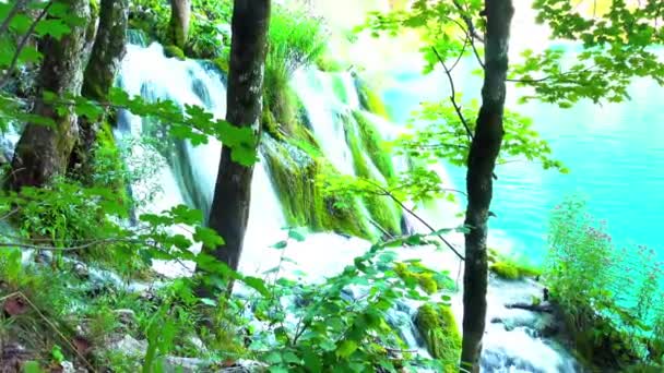 Cascata Nella Foresta Parco Nazionale Dei Laghi Plitvice Croazia — Video Stock