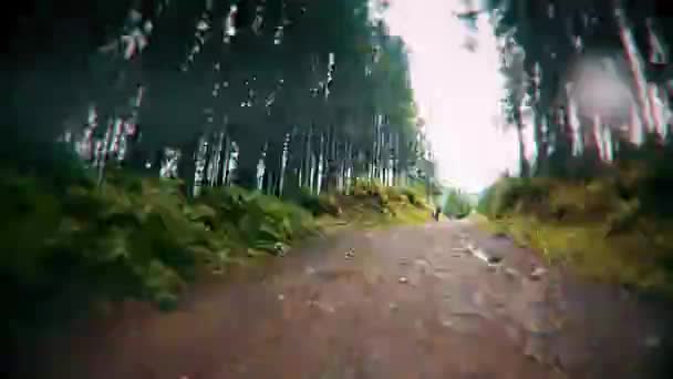 Paseo Bosque Coches Timelapse — Vídeos de Stock