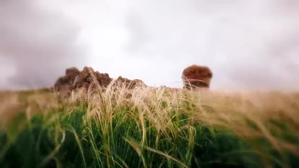 Peisaj Montan Apus Soare Iarbă Fundal — Videoclip de stoc
