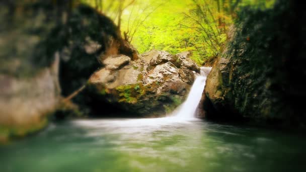 Arroyo Montaña Bosque — Vídeos de Stock