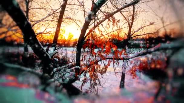 冬の風景日没 雪片の背景 — ストック動画