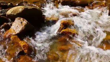 Ormandaki dağ deresi