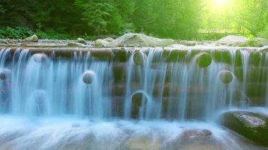 Ormandaki dağ deresi