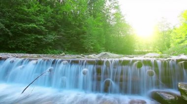 Ormandaki dağ deresi