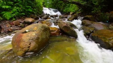 Ormandaki dağ deresi