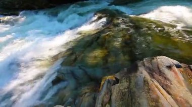 Ormandaki dağ deresi