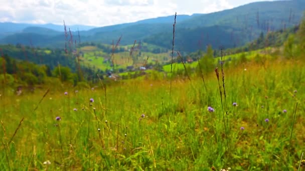 Horská krajina. pohyb jezdce — Stock video