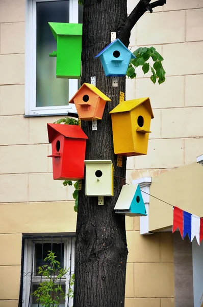 Bunte Vogelhäuschen auf einem Baum — Stockfoto