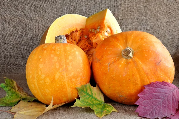 Pumpkins Stock Picture