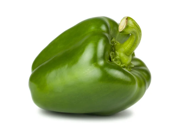 单绿色甜椒 — 图库照片