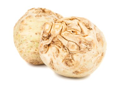 Taze kereviz kökü çifti