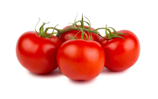 Rote reife Tomaten mit grünem Zweig — Stockfoto