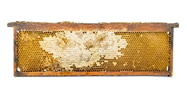 Honeycomb träram — Stockfoto