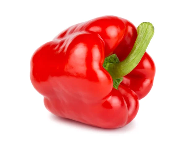 Enda röd paprika Stockfoto