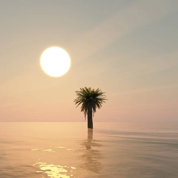 Solnedgång Klar Himmel Över Havet Och Palm Träd Illustration — Stockfoto
