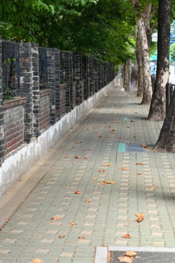 Bileşimler için kaldırım arkaplanı.