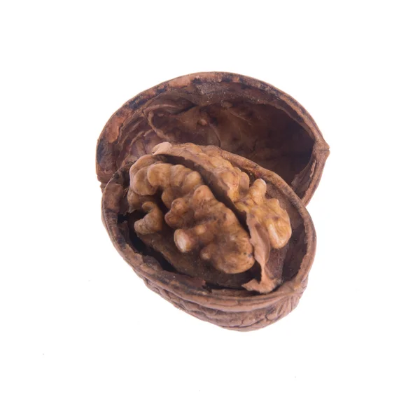 Nut. walnut on the background — Stock Photo, Image