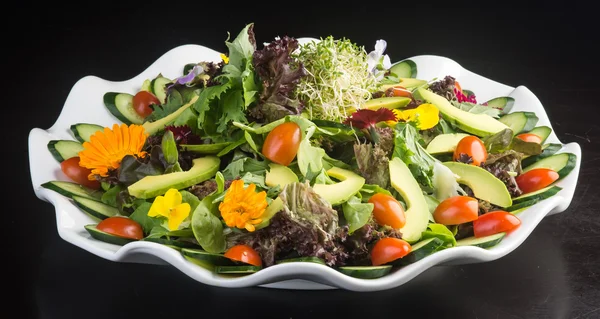 Salad. salad on the background — Stock Photo, Image