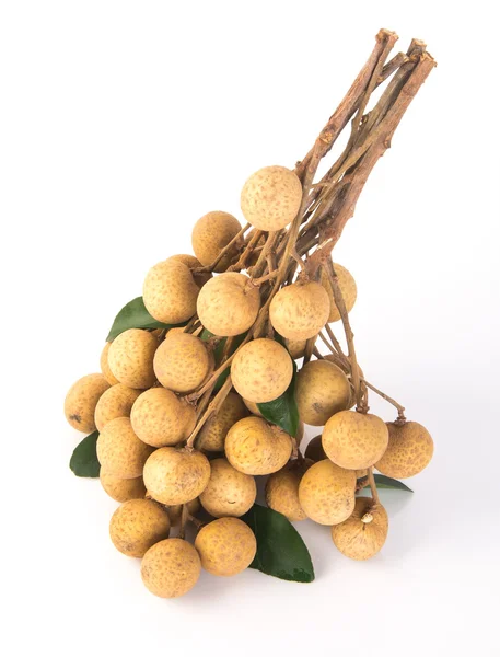 Longan fruit on a background — Stock Photo, Image