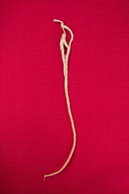 Ginseng. arka planda ginseng