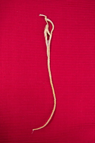 Ginseng. arka planda ginseng