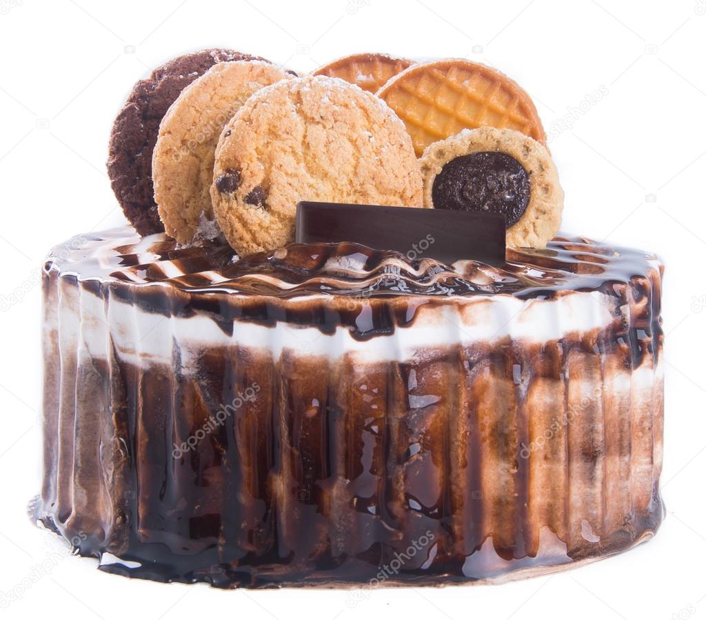 cake. chocolate ice cream cake on background