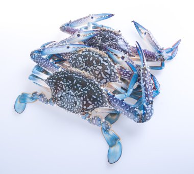 yengeçler. arka plan üzerinde yengeç. arka plan üzerinde Yengeç