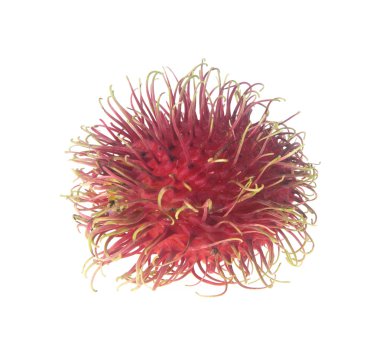 Rambutan arka planda. Rambutan arka planda