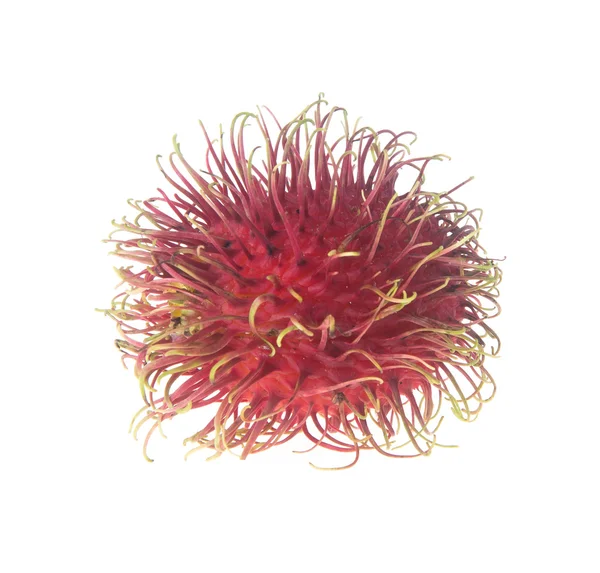 Rambutan na pozadí. Rambutan na pozadí — Stock fotografie