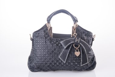 çanta. bir arka plan üzerinde kadın çanta