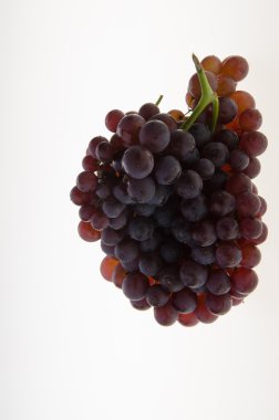 üzüm. arka plan üzerinde üzüm.